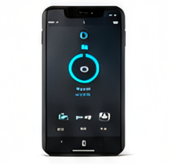 Lifetime app updates