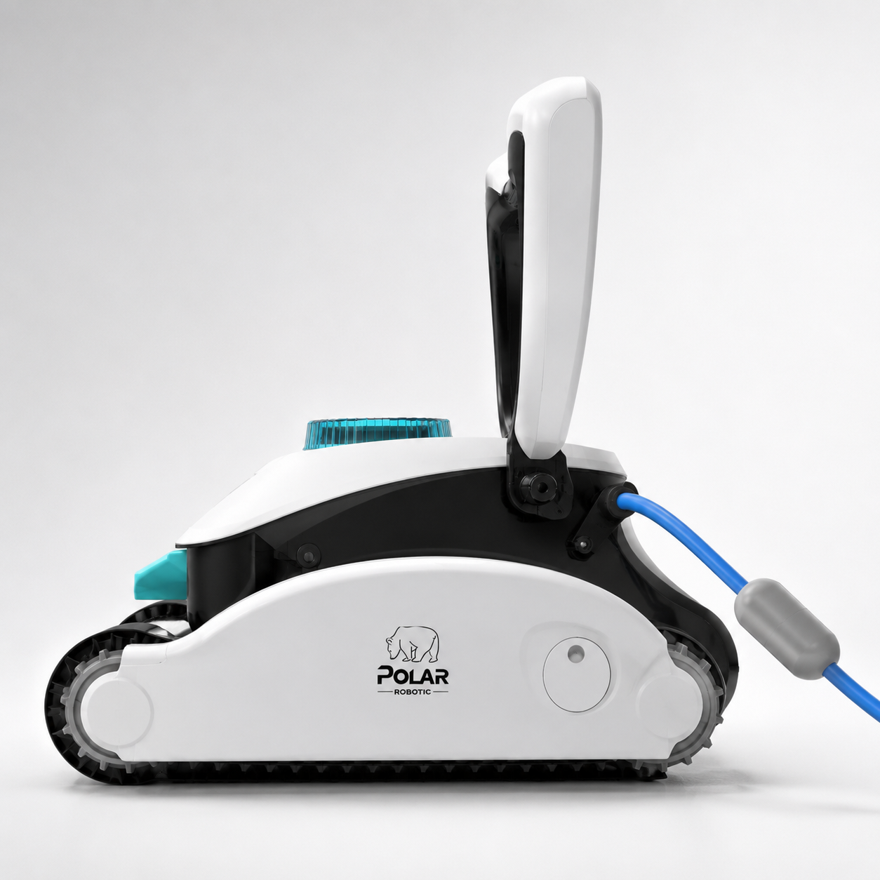 Polar Gentoo Plus