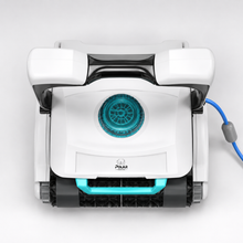 Polar Gentoo Plus