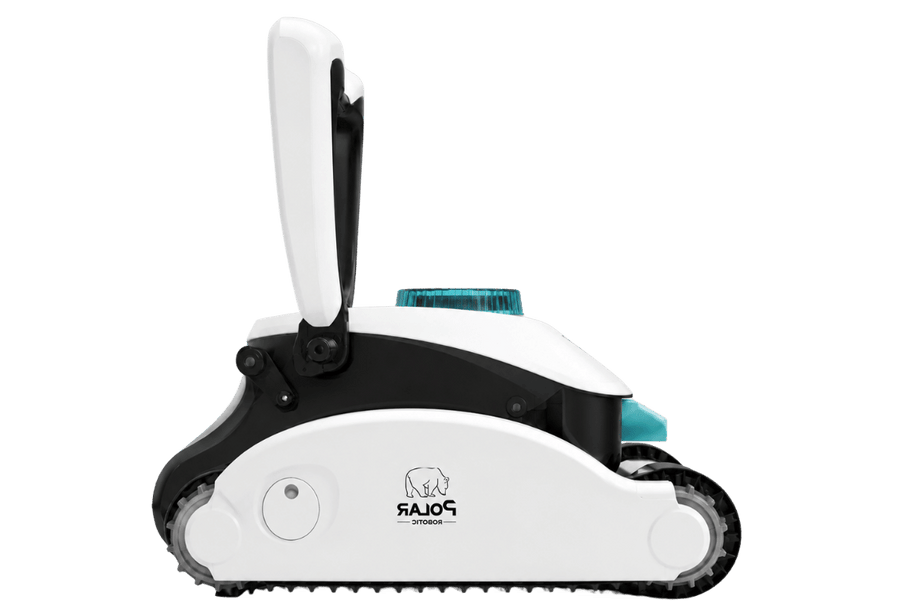 Polar Gentoo Plus animation
