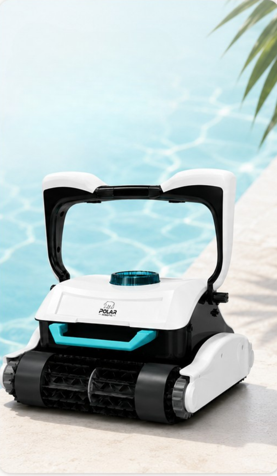 Polar Gentoo Plus